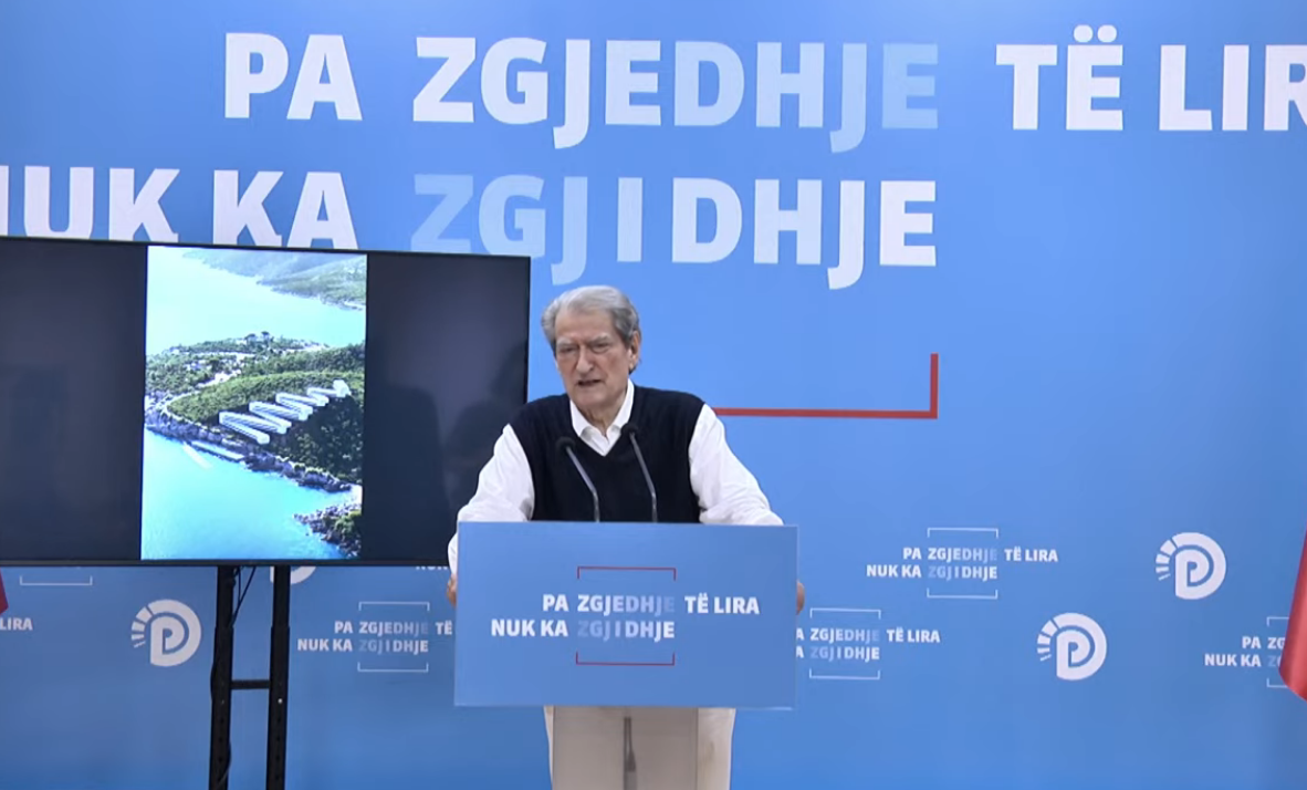Protesta  Berisha  Demokratët të marrin pjesë masivisht  gjethet s duhet të na pengojnë për të parë trungun