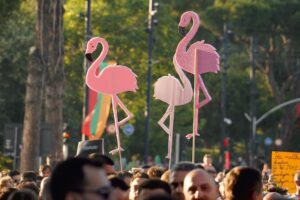 Flamingos, një revolucion proxy?