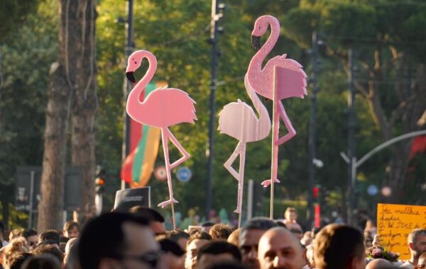 Flamingos, një revolucion proxy?