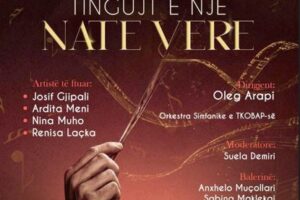artistike “Tingujt e një nate