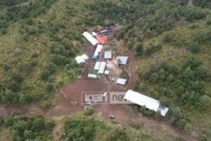 Pamjet me dron