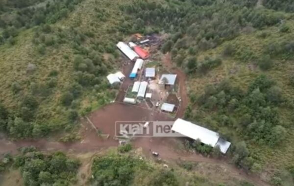 Pamjet me dron