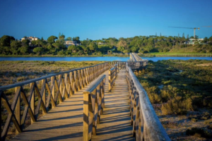 Boll i kemi paguar haraç