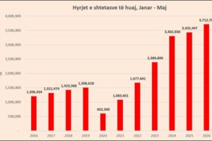 hyrjet e