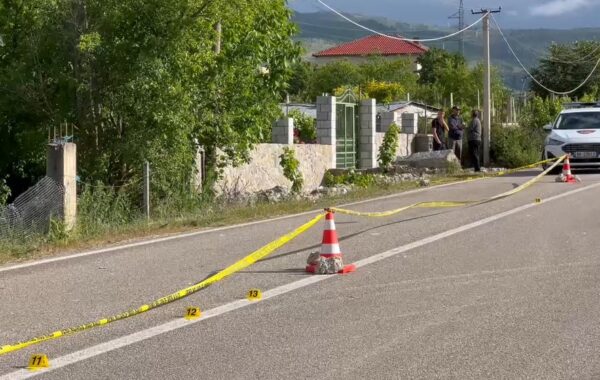 Makina përplas për vdekje të miturin