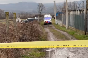 Dhunohet barbarisht çifti i bashkëshortëve në