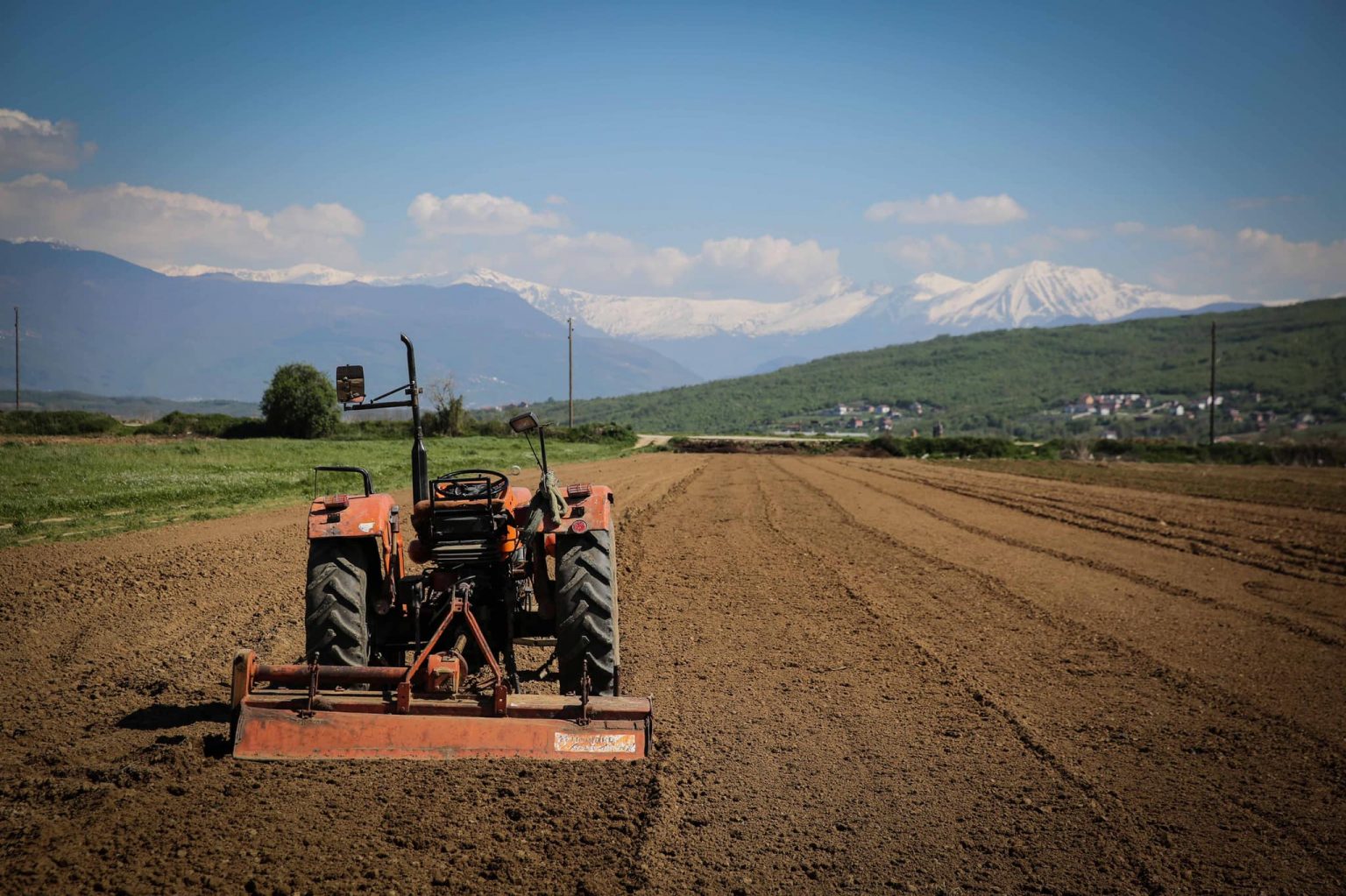 Mbi 6 mijë hektarë tokë bujqësore mbetën djerrë në Kosovë gjatë vitit 2025