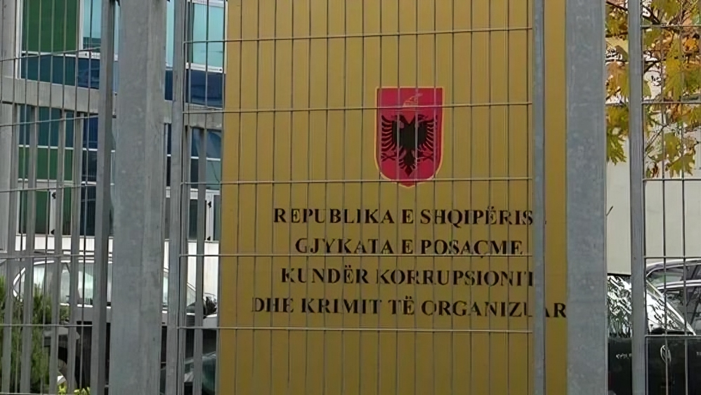 bashkisë Divjakë