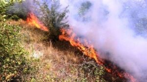 QMK  Gjatë 24 orëve të fundit janë regjistruar 17 zjarre në ambiente të hapura