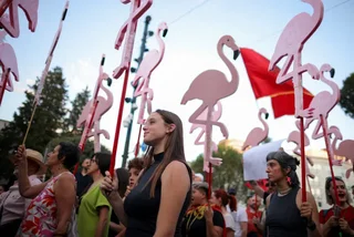 Revolucionit të Flamingove