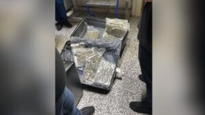 Sekuestrohen 46 kg kanabis në Rinas pas kontrollit të fluturimit Toronto Tiranë  dy persona nën hetim