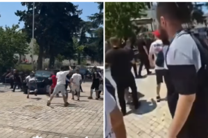 Revolucioni: nga pelikanët tek vezët mbi