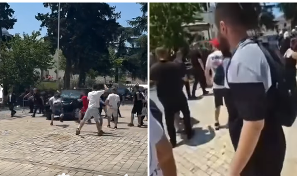 Revolucioni: nga pelikanët tek vezët mbi