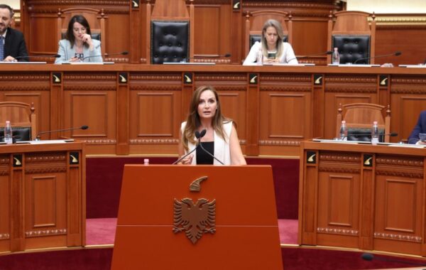 Ligji për investimet strategjike ka