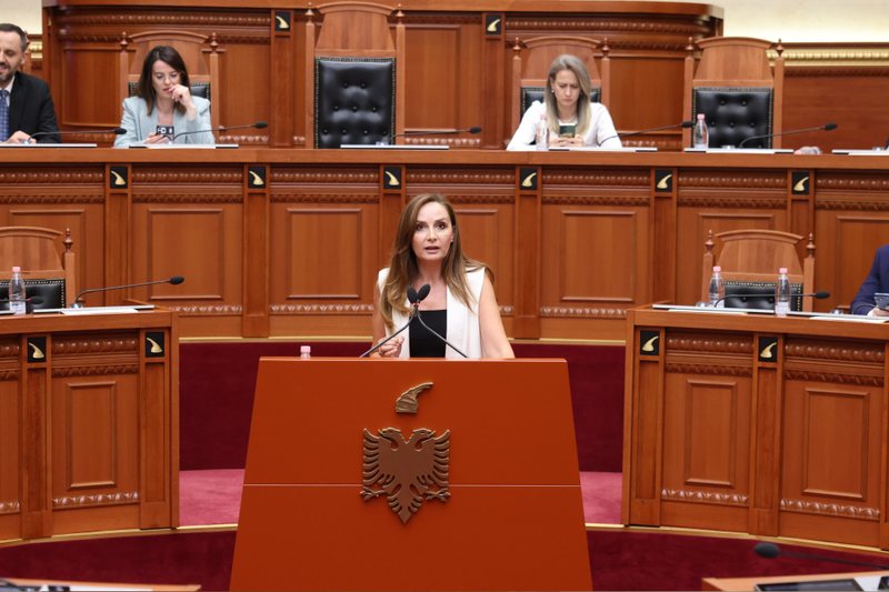 Ligji për investimet strategjike ka