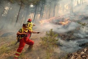 IGJEO paralajmëron rrezik të lartë zjarresh