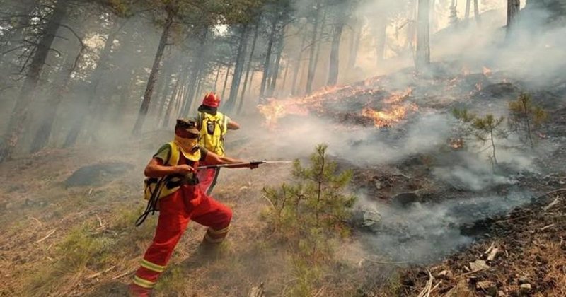 IGJEO paralajmëron rrezik të lartë zjarresh