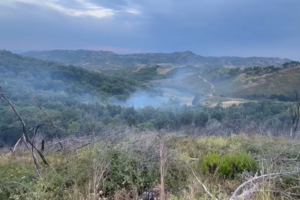Peshtan/ Zjarri përfshin zonën me bimësi,