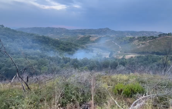Peshtan/ Zjarri përfshin zonën me bimësi,