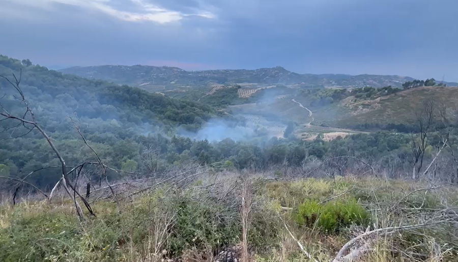 Peshtan/ Zjarri përfshin zonën me bimësi,