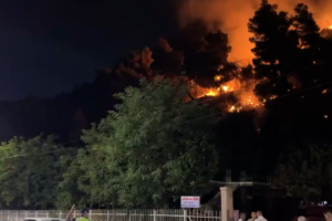 në malin e Shëngjinit