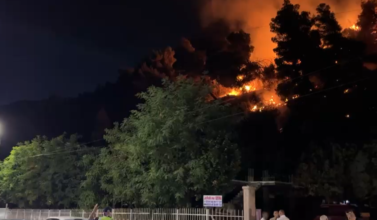 në malin e Shëngjinit