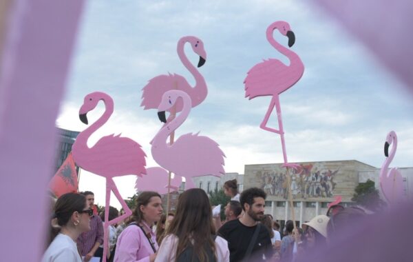e Flamingove