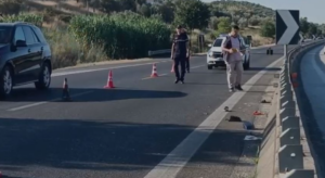 Aksident tragjik në Lushnjë  fuoristrada përplas për vdekje 75 vjeçaren që po shkonte te tokat