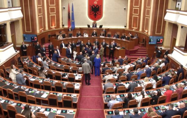 Seancë plenare,