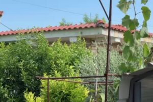 vëllai i viktimës: