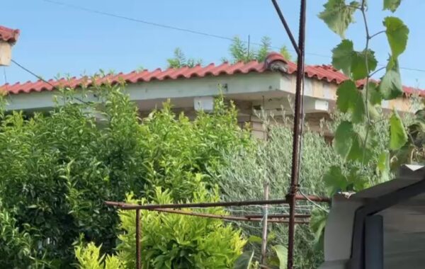 vëllai i viktimës: