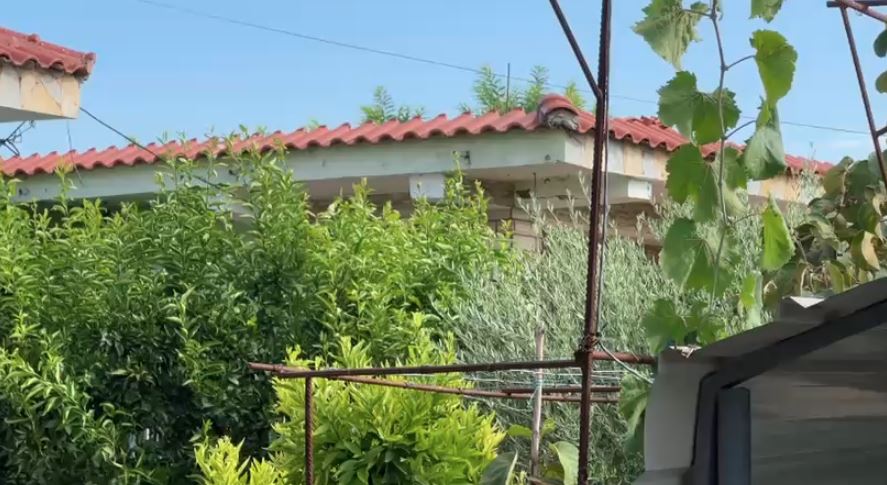 vëllai i viktimës: