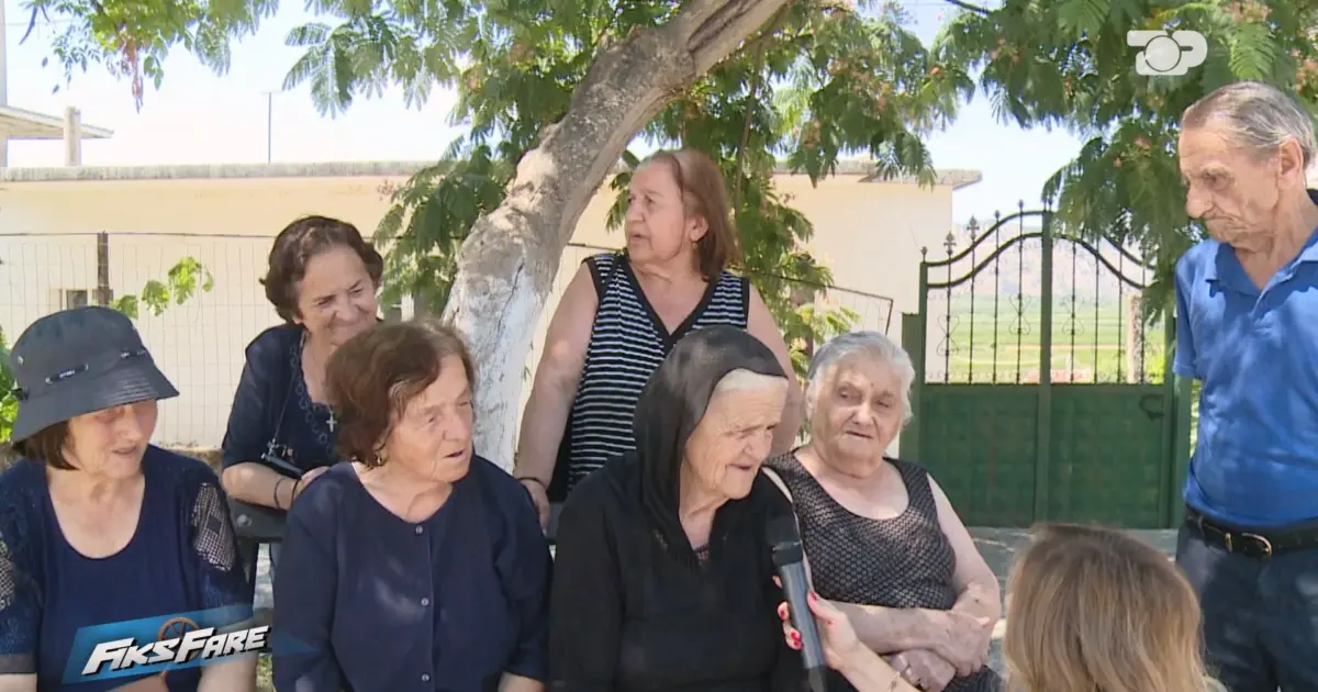 pensionet e
