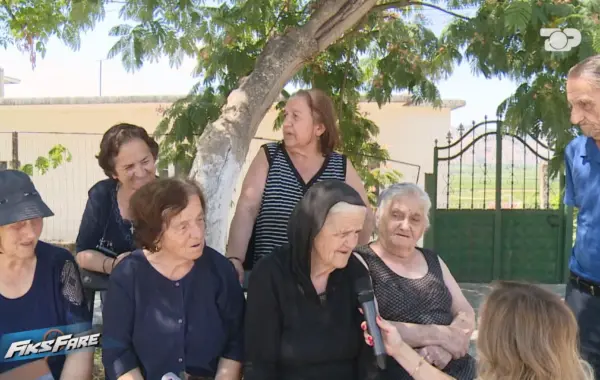 pensionet e
