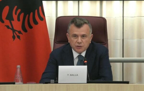 në Parlamentin Europian