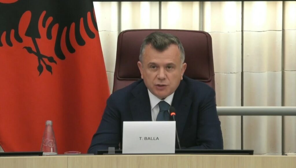në Parlamentin Europian