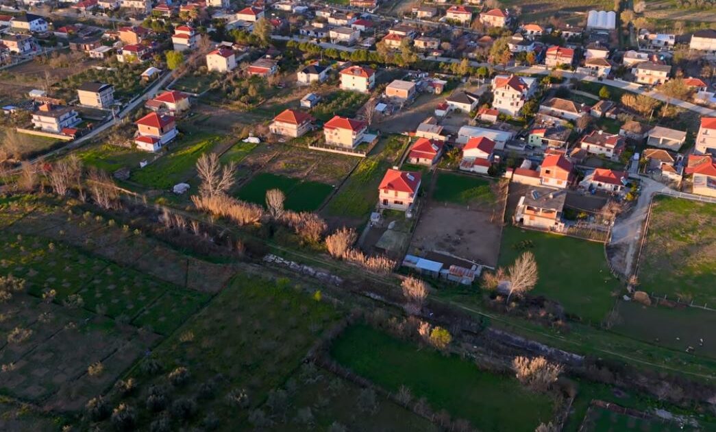 Tronditëse në Roskovec, 35-vjeçari vret ish-vjehrrin