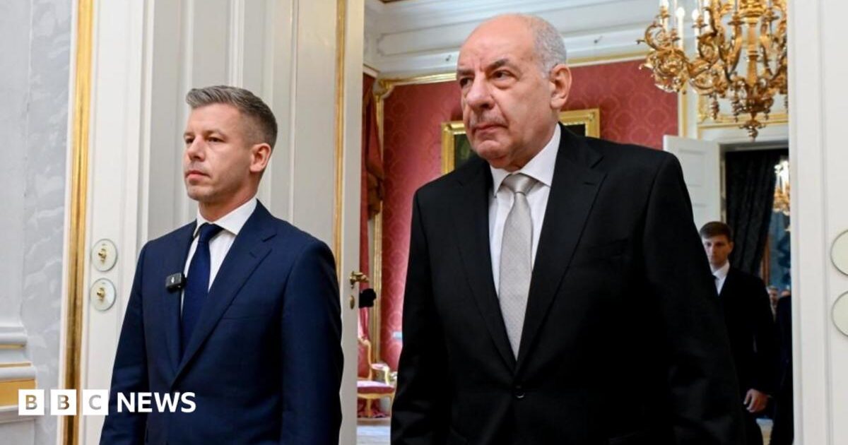 Tamás Sulyok pas