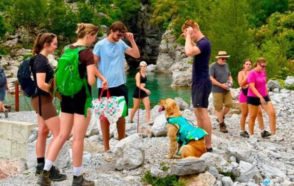 Arsyet e bombardimit të industrisë së turizmit nga flamingot