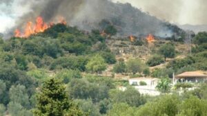 Zjarr në terren të paarritshëm në Vallandovë  autoritetet dyshojnë për dorë njeriu