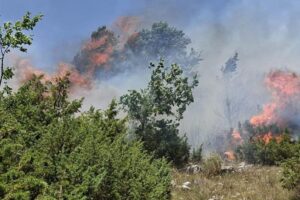 rajonin e Bordosë