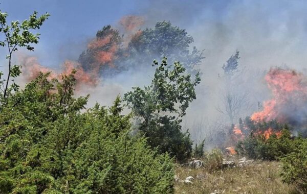 rajonin e Bordosë