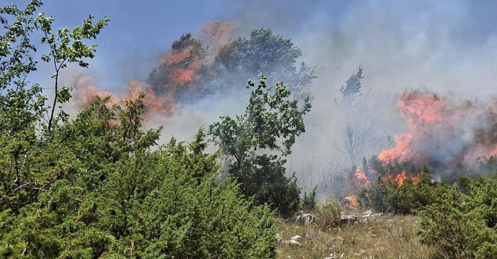rajonin e Bordosë