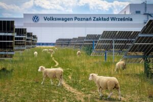 SOFT NEWS – Volkswagen shkurton 31
