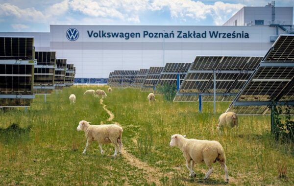 SOFT NEWS – Volkswagen shkurton 31