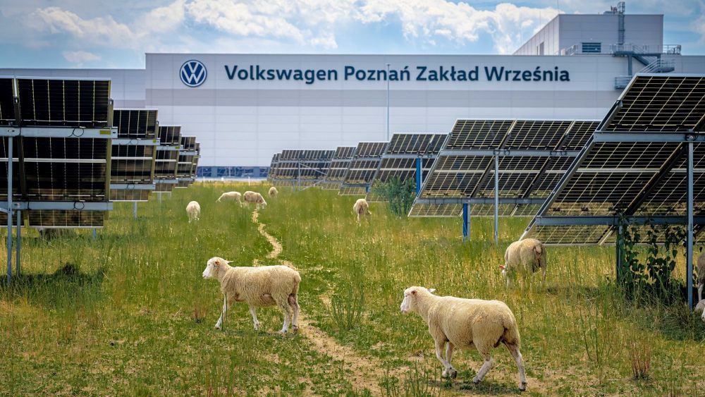 SOFT NEWS – Volkswagen shkurton 31