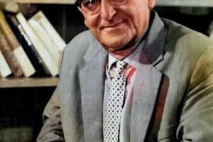Akademik Aleks