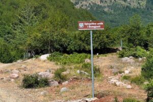 vepër e rrallë hidroteknike
