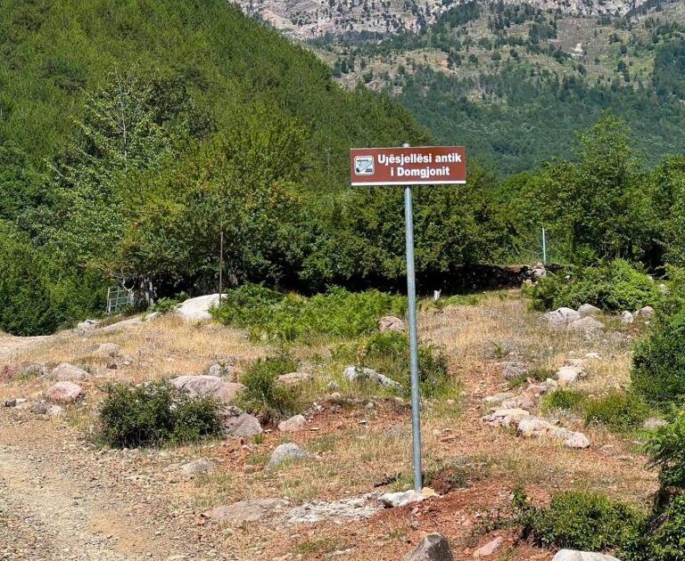 vepër e rrallë hidroteknike