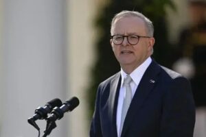 FOKUS – Albanese: Inteligjenca Artificiale nuk